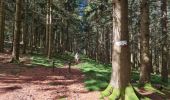 Tour Wandern Masevaux-Niederbruck - Reco avec ALAIN..Rando CLAS du 29/08/2024 - Photo 9