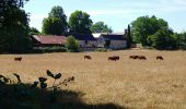 Tour Wandern Azay-le-Rideau - Azay-le-Rideau - Goupillières Baulay - 15.1km 185m 3h35 - 2022 07 12 - Photo 6