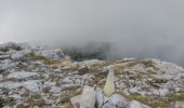 Tocht Stappen Saint-Vallier-de-Thiey - Montagne de Thiey - Photo 13