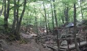 Trail Walking Spa - spa gué des artistes. malchamps . ligne 44 . niveze - Photo 8