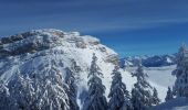 Trail Touring skiing Saint-Pierre-de-Chartreuse - arguille - Photo 7