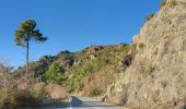 Trail On foot Sesta Godano - Arsina - Carrodano Superiore - Mattarana - Colle Gruzze - San Nicolao - Photo 3