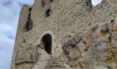 Tour Wandern Cucugnan - Château de Quéribus  - Photo 10