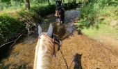 Trail Horseback riding Turquestein-Blancrupt - randonnée turquestein direction Celles-sur-Plaine  - Photo 2