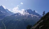 Trail Walking Vallorcine - MASSIF DES AIGUILLES ROUGES: LE LAC BLANC DEPUIS LE COL DES MONTETS - Photo 8