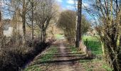 Randonnée Marche Hannut - La promenade de la Mouhagne  - Photo 2