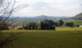 Trail Walking Manas - SityTrail - Puy St Martin La Pigne-Saudon 8,5km - Photo 2