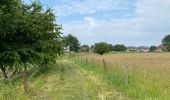 Tocht Stappen Merchtem - Brussegem nord 7,3 km - Photo 1