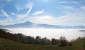 Tour Zu Fuß Lama Mocogno - Via Vandelli - Photo 4