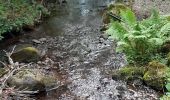 Trail Walking La Tour-d'Auvergne - Natzy - Photo 2