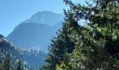 Trail Walking Saint-Gervais-les-Bains - conda 5 - Photo 8