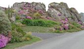 Randonnée Marche Plougrescant - boucle de plougrescan (le gouffre)  - Photo 1