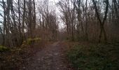 Trail Walking Besançon - Forêt de CHAILLUZ Fort de la dame blanche - Photo 10