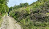 Trail Walking La Roche-en-Ardenne - Warempage 23 km - Photo 10