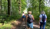 Trail Walking Havelange - Porcheresse  - Photo 10