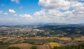 Trail On foot Nesher - Nof haCarmel - Photo 10