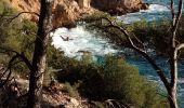 Trail Walking Saint-Cyr-sur-Mer - Boucle Port Madrague St Cyr sur Mer  - Photo 5