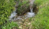 Tour Wandern Villard-de-Lans - Villard de Lans - les clots - bergerie de la fauge  - refuge - clos du four - fontaine magdelen- retour parking des clots - Photo 14