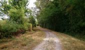 Tour Wandern Unknown - Druye - Sentier du menhir - 14km 95m 2h50 - 2019 08 03 - Photo 3