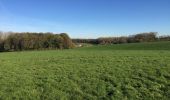 Randonnée Marche Braine-l'Alleud - 68.744 Bois Seigneur Isaac - Promenade du Chateau  - Photo 5