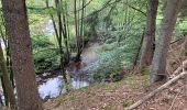 Tour Wandern Hohenfels - Dinez / 2020-08-30 / 21 km - Photo 13