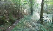 Tour Mountainbike Wirten - Montourdon  -  Balade_VTT_26kms - Photo 20