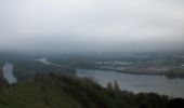 Trail Walking Belbeuf - 20221112-St Adrien - Photo 14