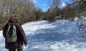 Trail Walking Simmerath - Einrhur 23 km - Photo 18