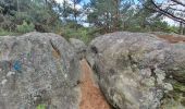 Tocht Stappen Fontainebleau - Fontainebleau Circuit PR Sentier Denecourt 5 - Photo 12