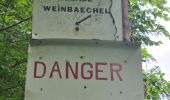 Trail Walking Oberhaslach - Circuit des 2 cascades - Photo 8