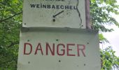 Tour Wandern Oberhaslach - Circuit des 2 cascades - Photo 8