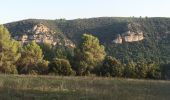 Excursión Senderismo Gréoux-les-Bains - 2019 09 16 château Laval et marchand - Photo 5