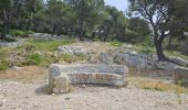 Percorso Marcia Ollioules - Gros Cerveau - Ollioules - Photo 17
