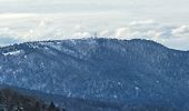 Tocht Stappen Rimbach-près-Masevaux - Rimbach - lacs du Neuweiher et des Perches par Rouge Gazon - Photo 14