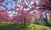 Tocht Stappen Antony - Sceaux en fleurs, Châtenay , Bièvre et Henri Sellier  IBP 70 - Photo 5