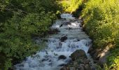 Tocht Stappen Chamonix-Mont-Blanc - Cascade du Dard Glacier du Bosson - Photo 8