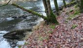 Excursión Senderismo La Roche-en-Ardenne - Maboge  - Photo 15