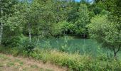 Tocht Stappen Meix-devant-Virton - Gerouville 060723 - Photo 12
