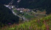 Randonnée A pied Trient - Sentier des Alpages - Photo 2