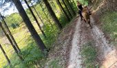 Trail Horseback riding Saint-Apollinaire-de-Rias - St Appollinaire de Rias au top 👍 - Photo 13