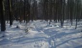 Tour Zu Fuß Zobten am Berge - Szlak archeologiczny - Photo 6