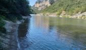 Excursión Senderismo Le Garn - Gorges de l'Ardèche  - Photo 11