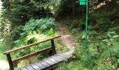 Trail Mountain bike Ostwald - Sortie vttball - Photo 18