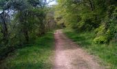 Tocht Stappen Besançon - TILLEROY POULEY LES VIGNES - Photo 4