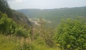 Tour Rennrad Les Rousses - col de la faucille, Divonne les bains. - Photo 1