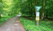 Trail On foot Altenbeken - Wildnis-Steig (Naturerbe Wanderwelt) - Photo 2