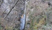 Trail On foot Stresa - IT-VL5 - Photo 7