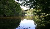 Excursión A pie Trittau - Wanderweg Nr. 36: Großensee - Mölln (GS-MÖ) - Photo 3