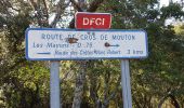 Trail Walking Les Mayons - LES MAYONS - SENTIER DU DECAUVILLE - Photo 5