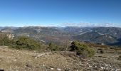 Trail Walking Castellane - Thyrs : sommet du Robion - Photo 18